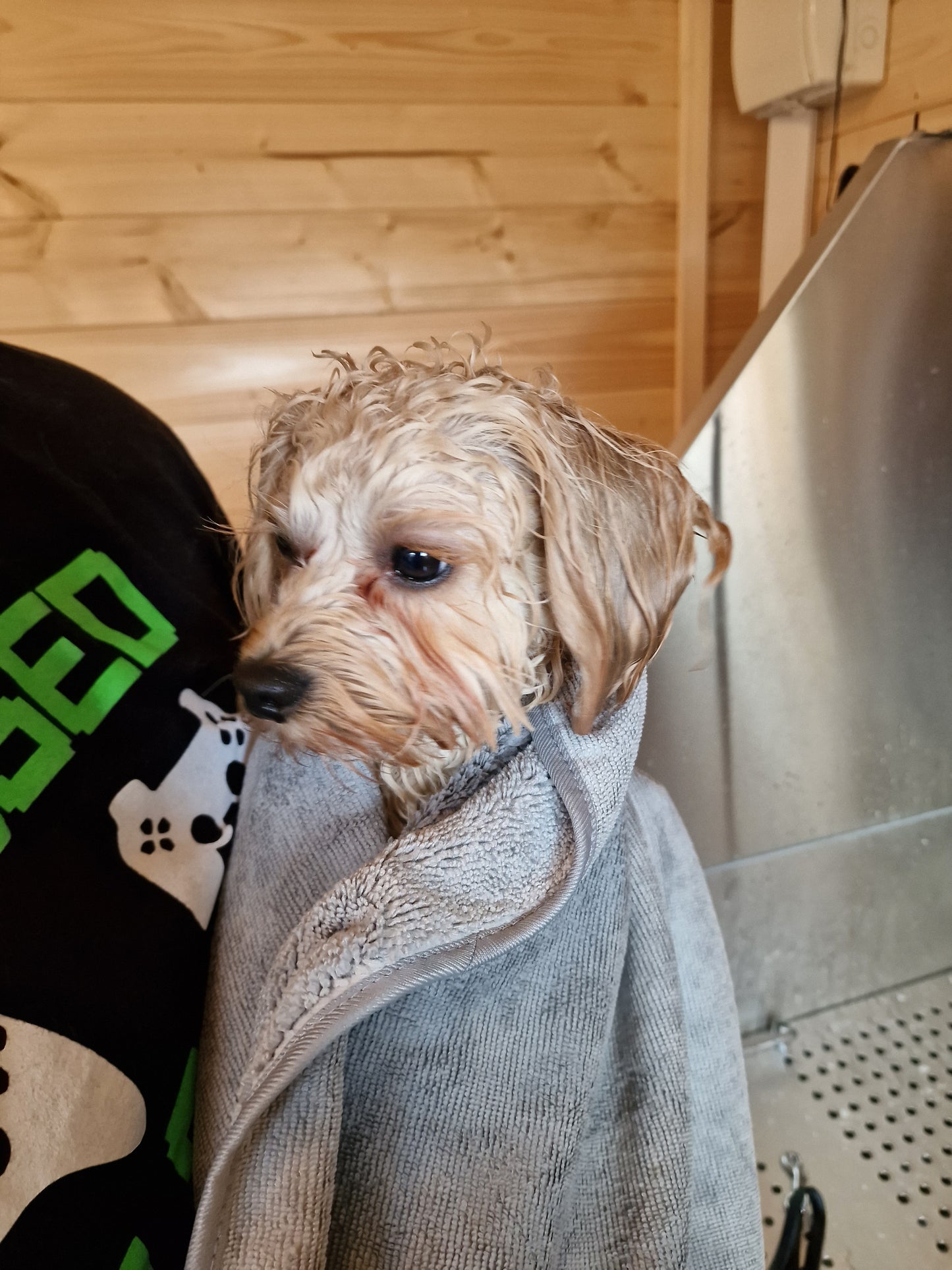 Dog Pamper Session